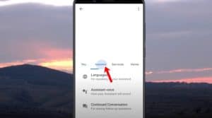 uninstall google assistant