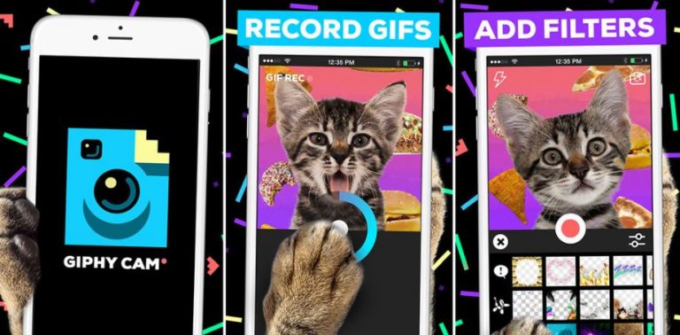 10 Best Photo Animation (GIF) Apps for Android & iOS